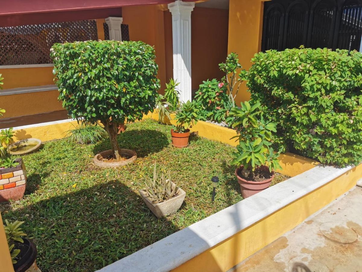 Vila Casa Balfre Mérida Exteriér fotografie